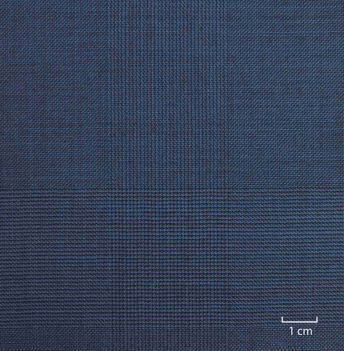 [503121] BLUE, CHECKS