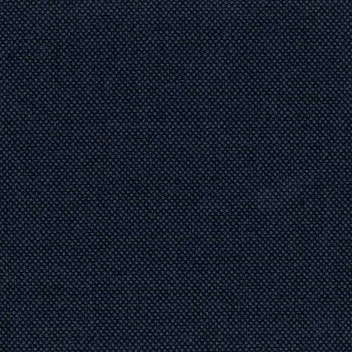 [320946] BLUE, BIRDEYE