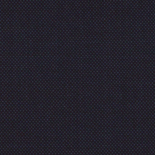 [223912] DARK BLUE, BIRDEYE