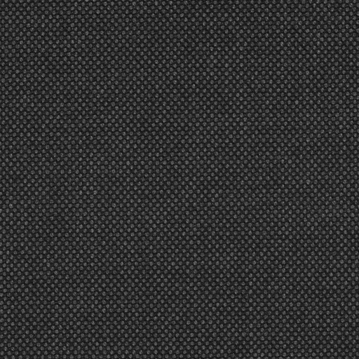 [823211] DARK GREY, BIRDEYE