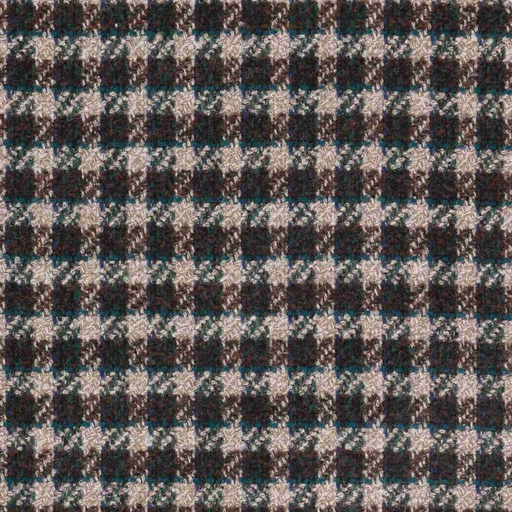 [664323] BROWN,GREEN CHECKS