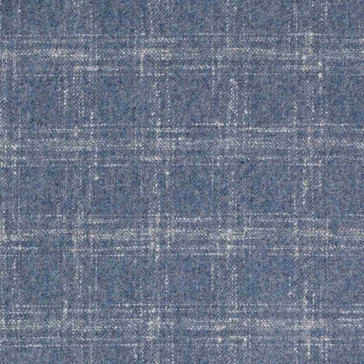 [664327] BLUE,CHECKS