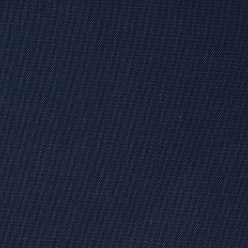 [664422] BLUE,BIRDEYE (2 PLY)