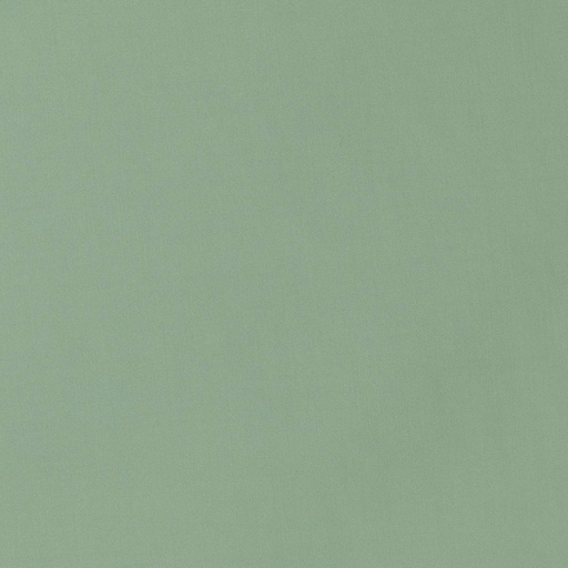 [664524] LIGHT GREEN,PLAIN