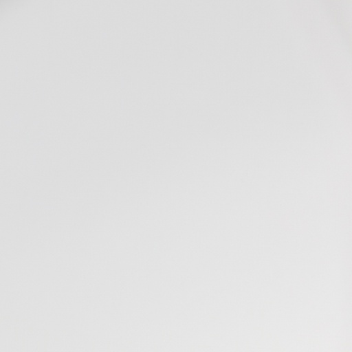 [664540] WHITE,PLAIN