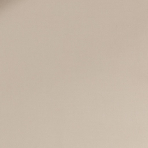 [664542] TAN,PLAIN