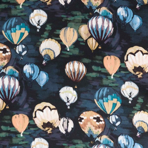 [664610] HOT AIR BALLON IN DARK