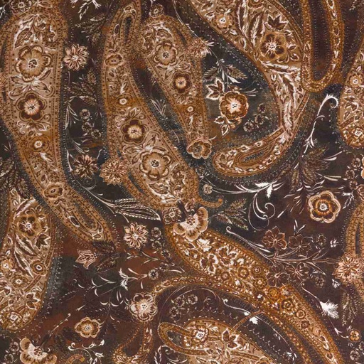 [664637] BROWN PAISLEY