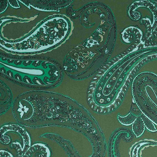 [664642] GREEN PAISLEY