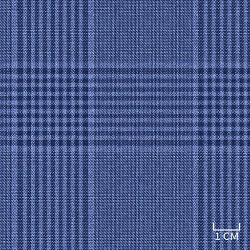 [452022] BLUE,CHECKS