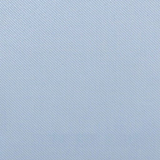 [701873] BLUE, PLAIN