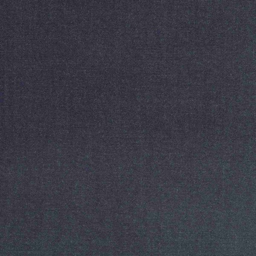 [664864] BLUE,TWILL