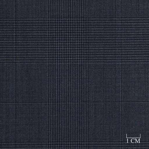 [228802] BLUE, CHECKS