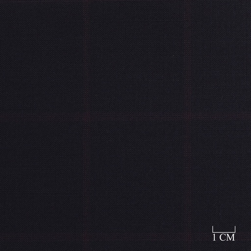 [228806] DARK BLUE, RED CHECKS