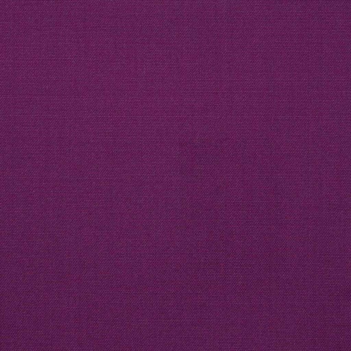 [214849] PURPLE, PLAIN