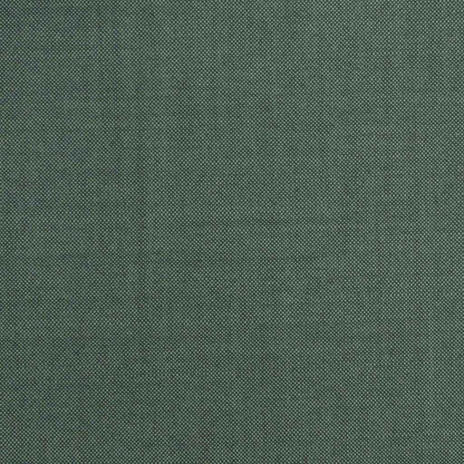 [226436] GREEN, PLAIN