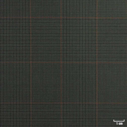 [823605] GREEN, RED CHECKS