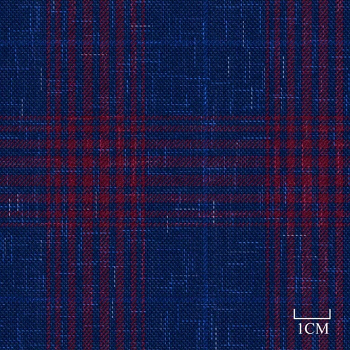 [824009] BLUE, RED CHECKS
