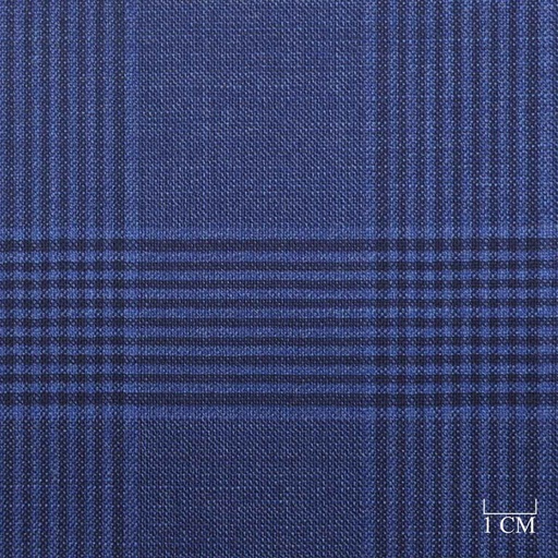 [824033] BLUE,CHECKS