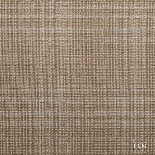 [824040] BROWN,CHECKS