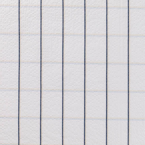 [665119] WHITE, NAVY CHECKS