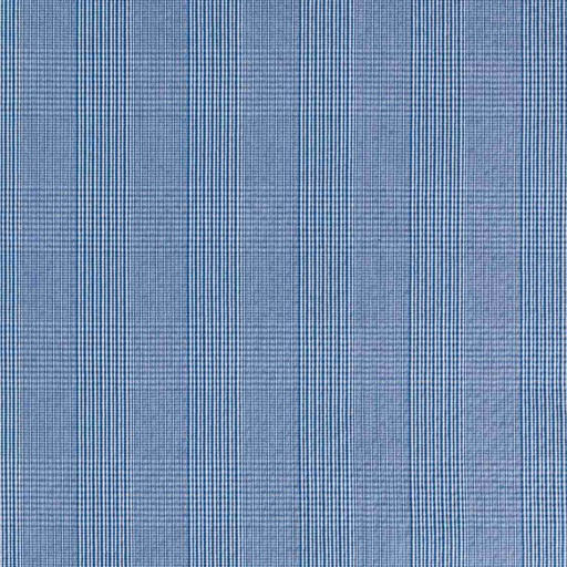 [665121] BLUE, WHITE CHECKS