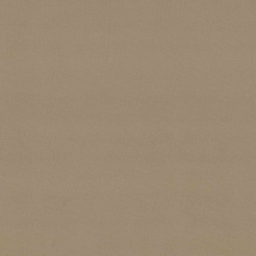[321102] CAMEL, PLAIN