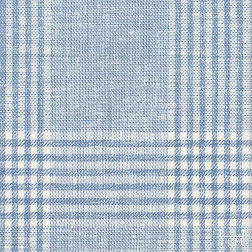 [321209] BLUE, WHITE CHECKS