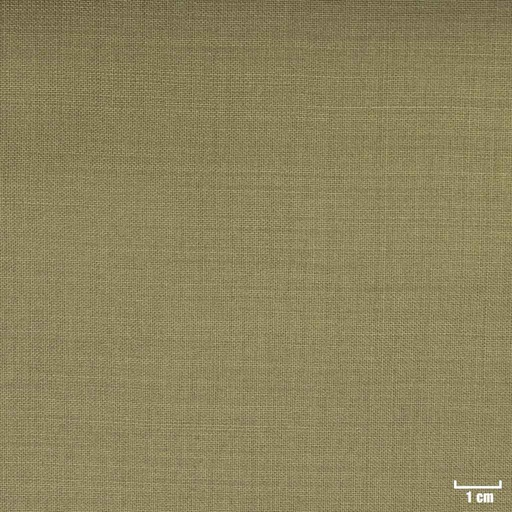 [354524] OLIVE, PLAIN (ST# 16020)
