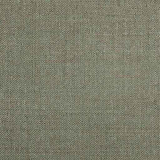 [610650] OLIVE, PLAIN