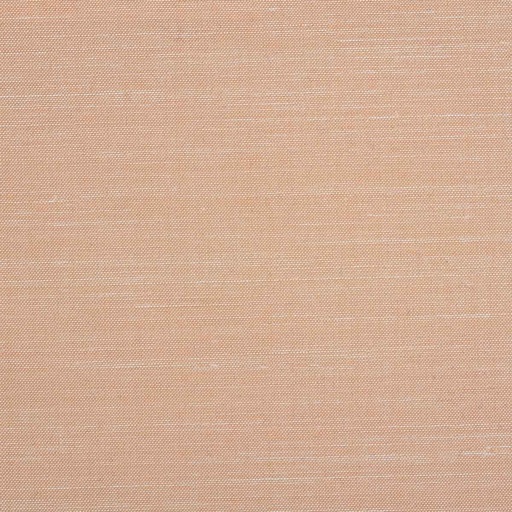 [610748] LIGHT ORANGE, PLAIN