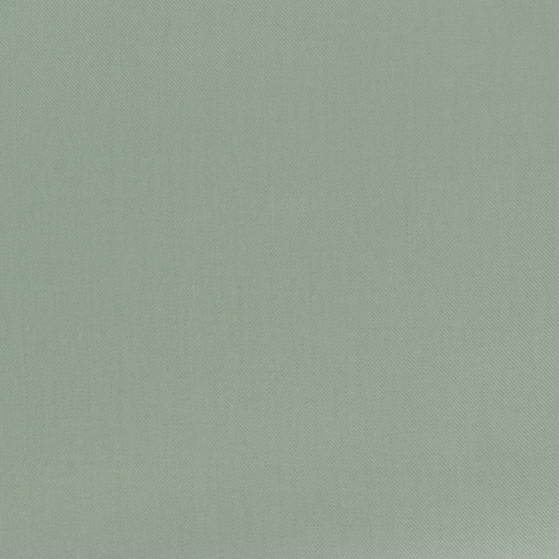 [665328] LIGHT GREEN, TWILL