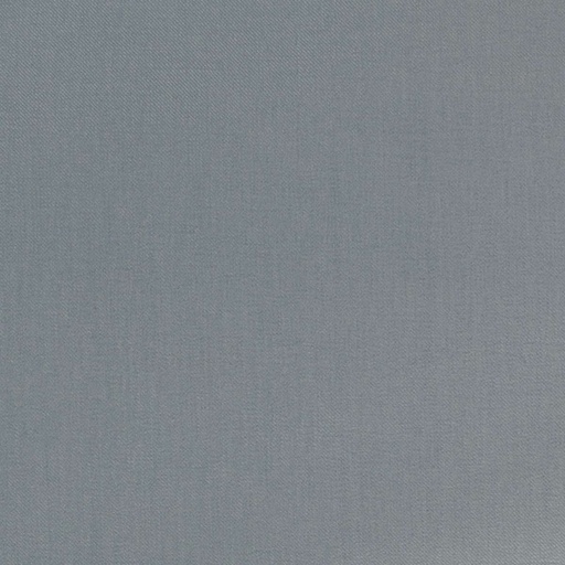 [665330] BLUE, TWILL