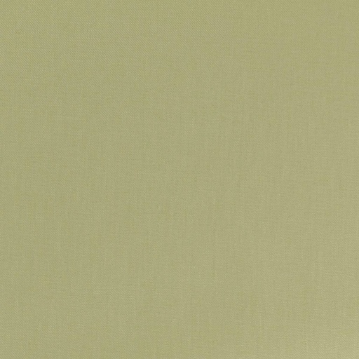 [665337] LIGHT GREEN, TWILL