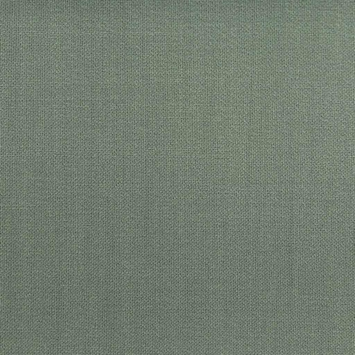 [501773] DARK GREEN, PLAIN