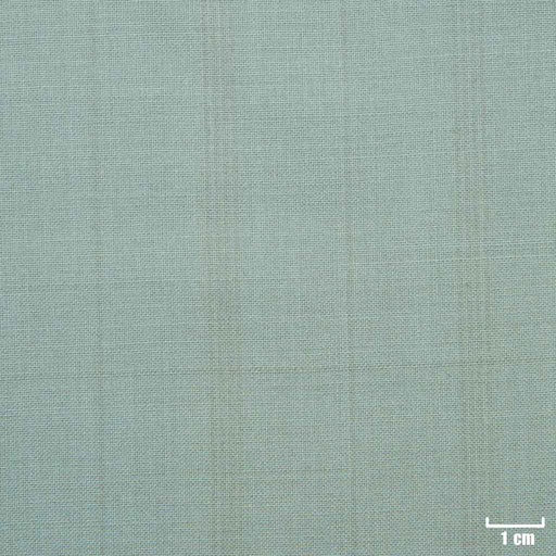 [501618] OLIVE, CHECKS