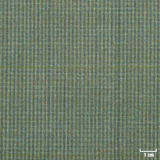 [501617] OLIVE, CHECKS