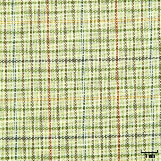 [501616] GREEN, SMALL CHECKS