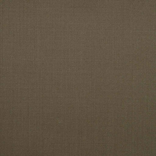 [209661] BROWN,PLAIN