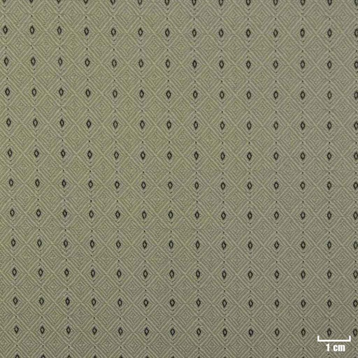 [270349] GREEN, BLACK DOTTED PATTERN