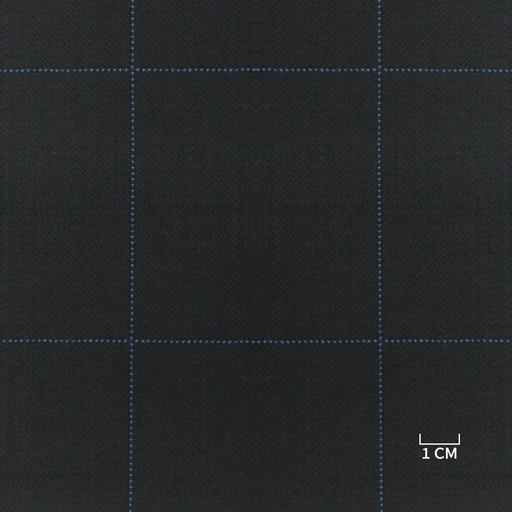 [104215] BLUE, BLUE CHECKS