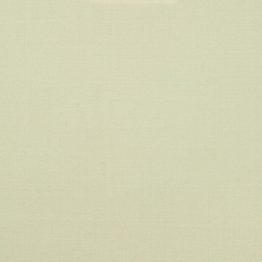 [222420] BEIGE, PLAIN