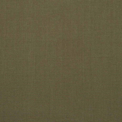 [224468] BROWN, PLAIN