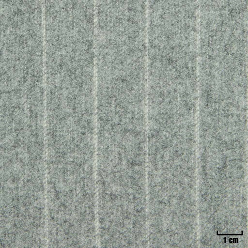 [227251] LIGHT GREY, OFF WHITE STRIPES