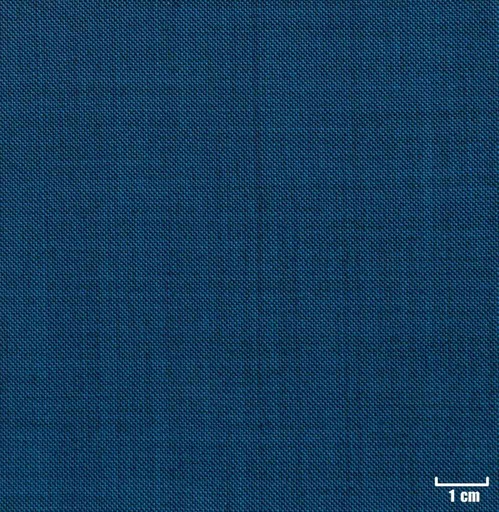 [225751] BLUE, SHARKSKIN
