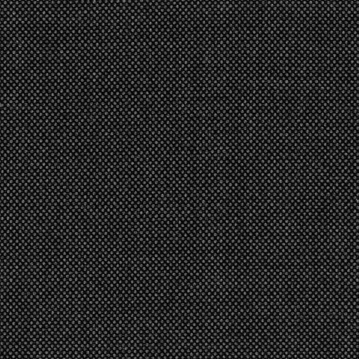 [314135] GREY, BIRDEYE