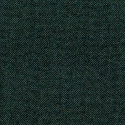 [316228] GREEN, PLAIN (DR# 85028)