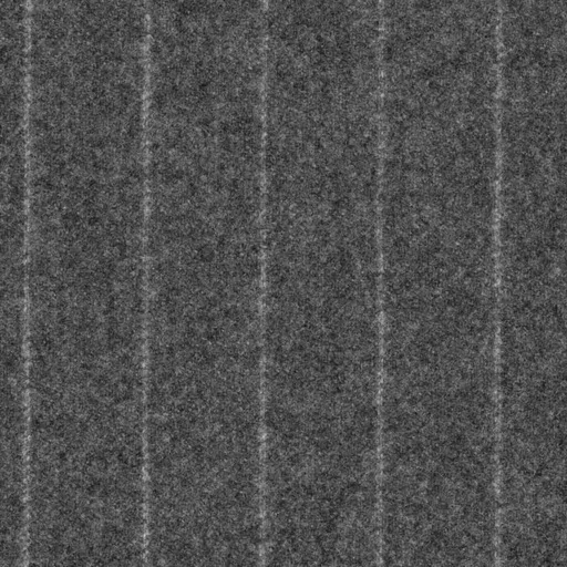 [316452] GREY, OFF WHITE STRIPES