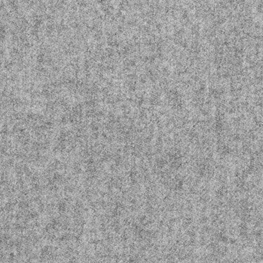 [316456] LIGHT GREY, PLAIN