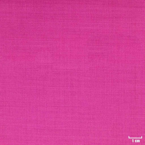 [351830] VIOLET, PLAIN (ST# 16031)